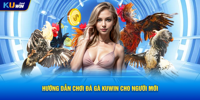 Hướng dẫn chơi đá gà KUWIN cho người mới