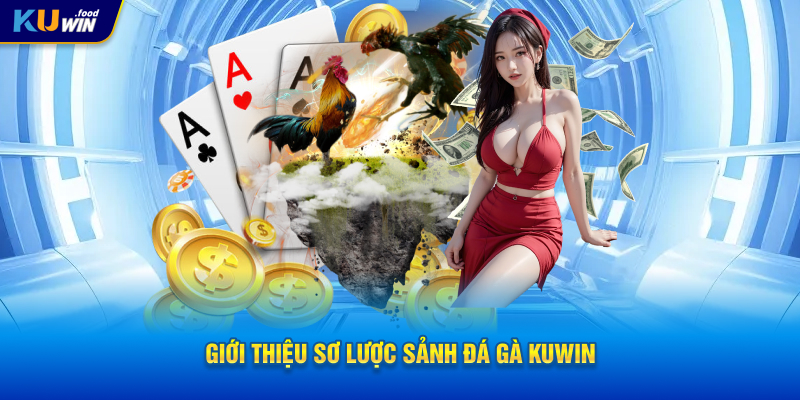 Giới thiệu sơ lược sảnh đá gà KUWIN